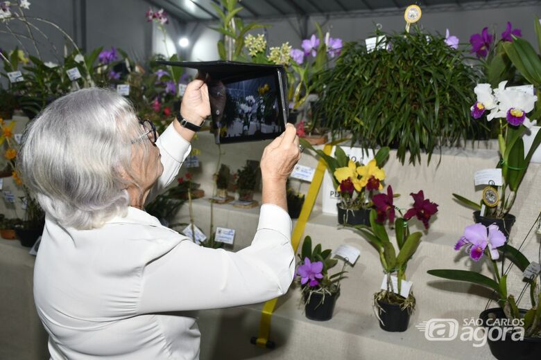 Exposição de Orquídeas reúne mil plantas e encanta visitantes em São Carlos - 