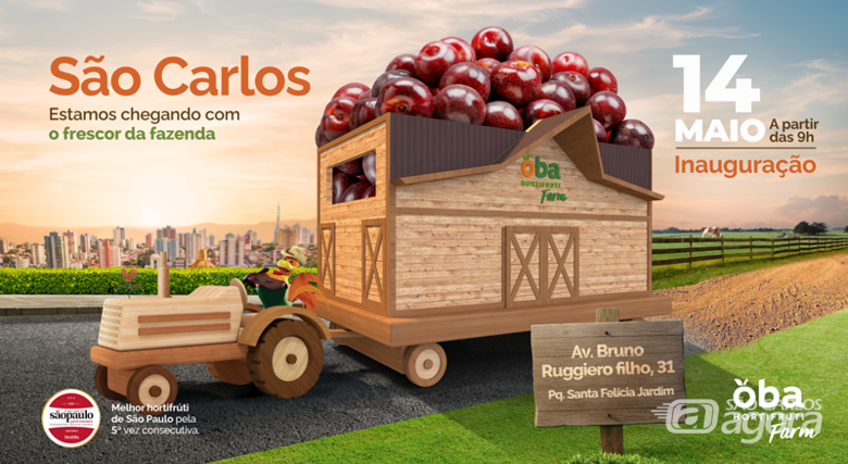 Oba Hortifruti inaugura unidade em São Carlos com geração de empregos e novo conceito de loja - 