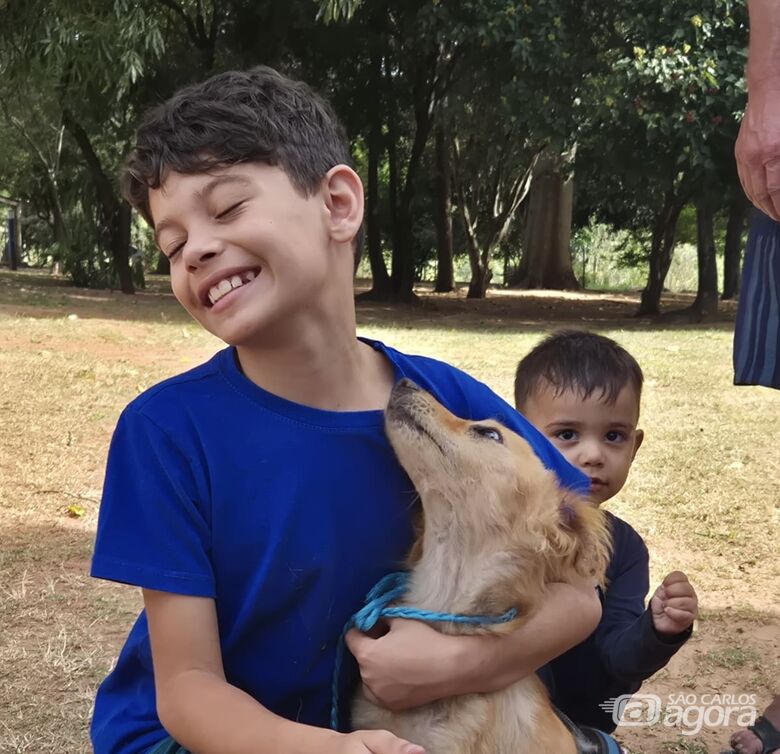 Feira de adoção no Canil Municipal ajuda seis animais a encontrarem um lar - Crédito: Divulgação 