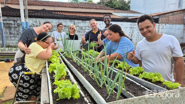 Rotary Club de São Carlos Pinhal implanta horta inclusiva na APAE e promove aprendizado e autonomia - Crédito: Colaboração 