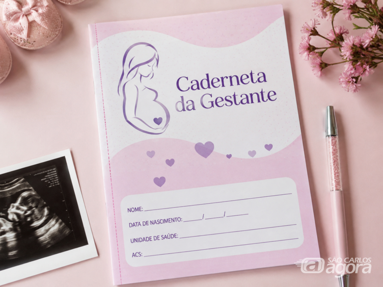 Foto ilustrativa de caderneta de gestante - Crédito: IA