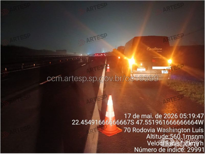 Van atropela capivara na rodovia Washington Luís  - Crédito: Artesp