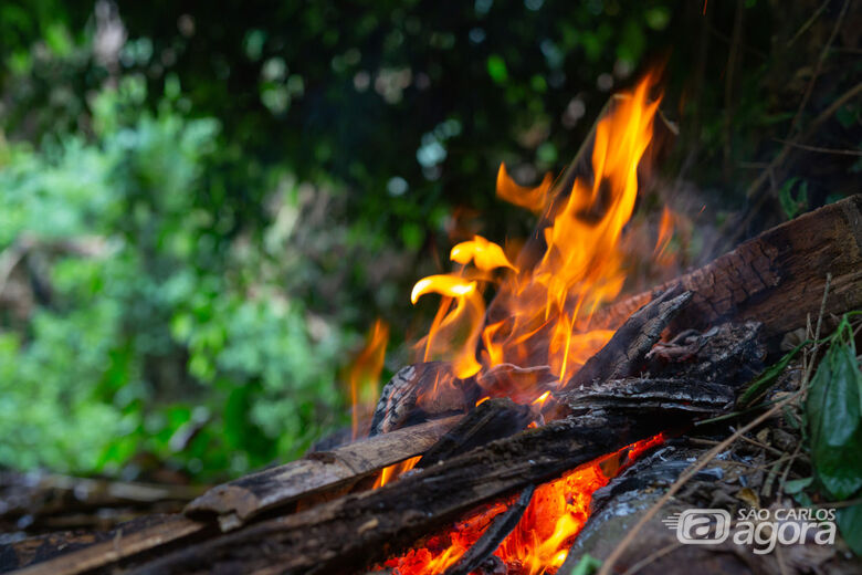 UFSCar pesquisa percepção da população sobre uso do fogo controlado no Cerrado paulista - Crédito: Magnific