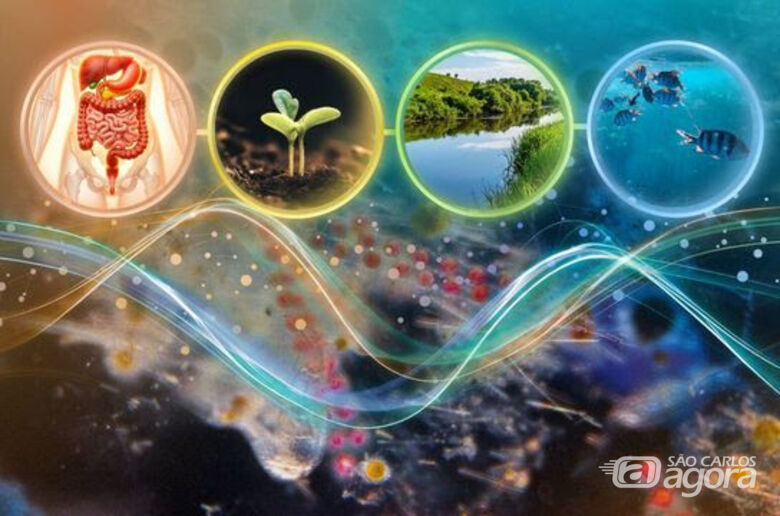 (Imagem: Ilustração sobre foto de Fundação Tara Oceans) - 