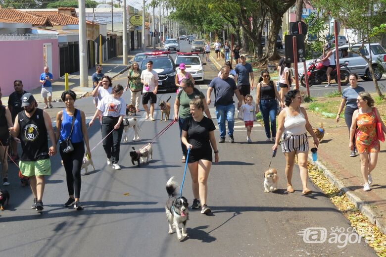 12ª Cãominhada acontece neste domingo na rua Larga - 