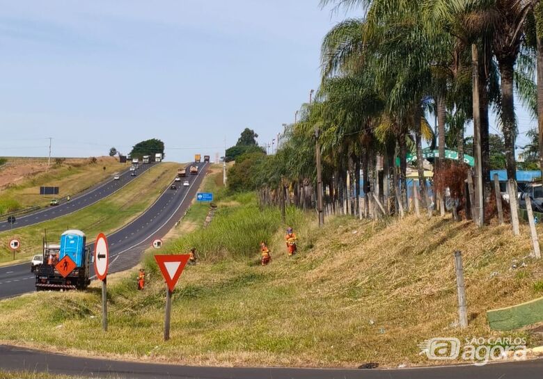 Após cobranças da Prefeitura, concessionária realiza limpeza às margens da Washington Luís em Ibaté -