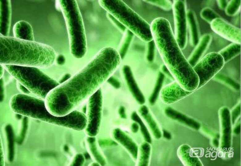 Produção de alimentos funcionais Resíduos agrícolas podem ganhar nova utilidade - Crédito: Mitushi Biopharma