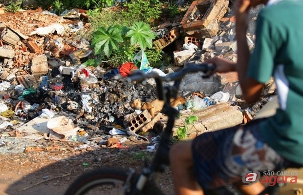 Cachorro foi jogado em uma fogueira (foto:jornalacidade.com.br) -