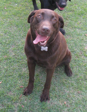 0 -
