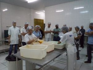 (Foto: Divulgação) -
