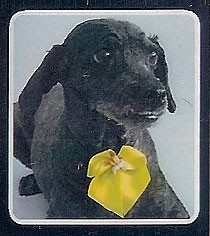 0 -