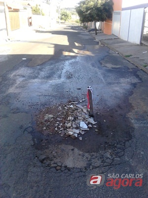 Foto enviada pelo leitor -