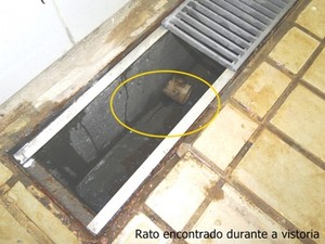 0 -