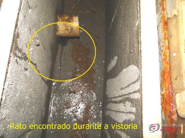 Foto: Divulgação -