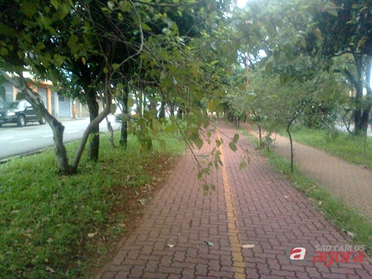 (Foto enviada por leitor). -