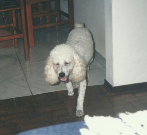 0 -