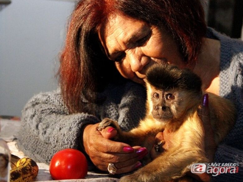 Dona Elizete se emocionou ao receber o animal em casa. (Foto: Fabio Rodrigues/G1). - 