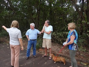 Foto: Divulgação -