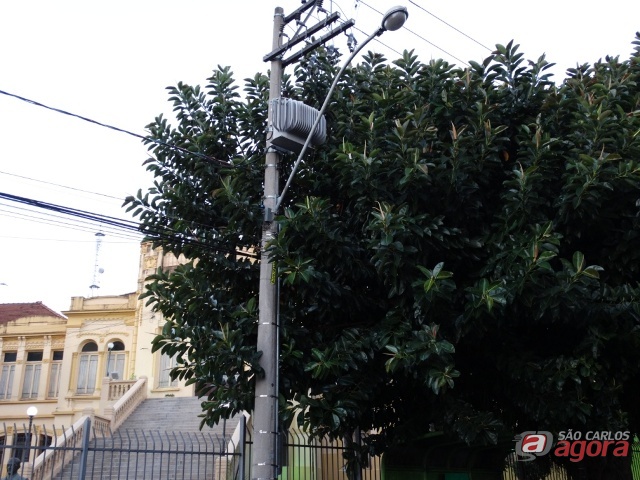 Fotos: Assessoria Parlamentar vereador Sérgio Rocha -