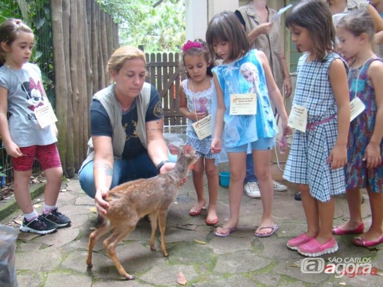 Crianças durante passeio realizado em 2014: consciência ecológica - 