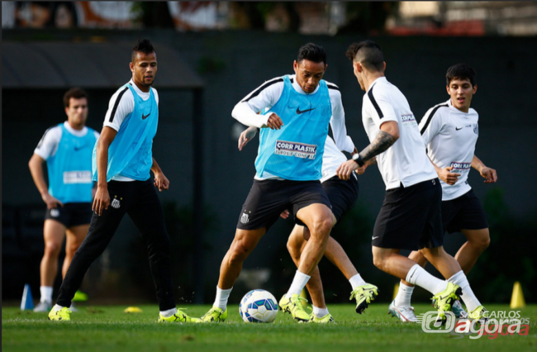 Ricardo Oliveira é a esperança de gols do Santos para o jogo contra o Goiás. Foto: site oficial do Santos FC - 