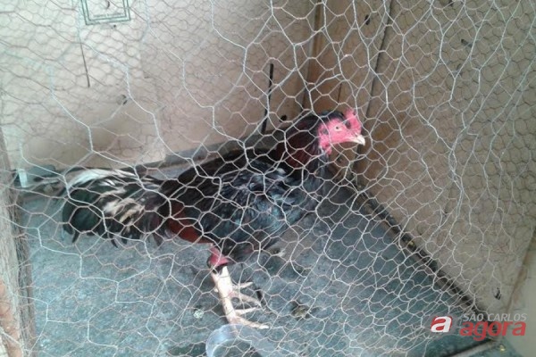 Foto: Portal Morada -