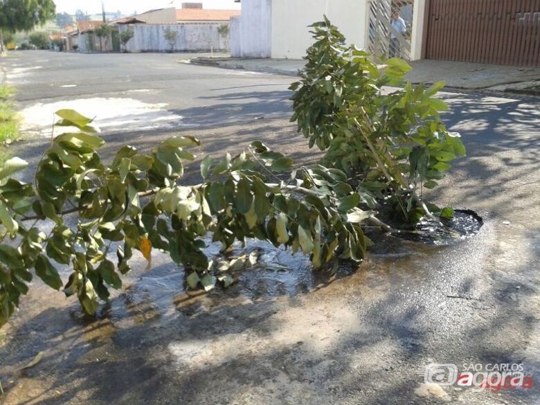 Moradores colocaram galhos para indicar o problema. Fotos: Divulgação - 