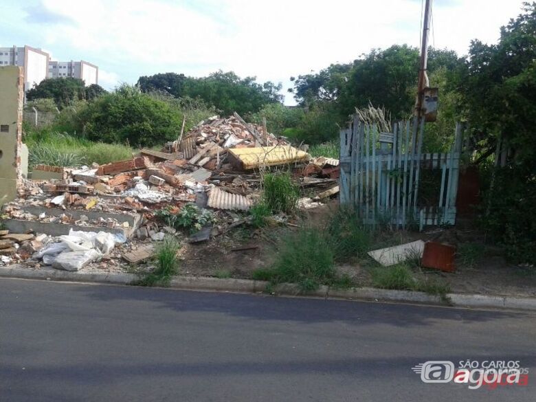 Foto: Divulgação - 