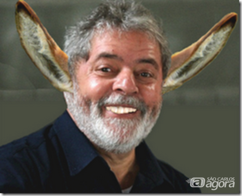 Foto: Divulgação - 