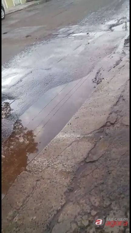 Foto: Divulgação -