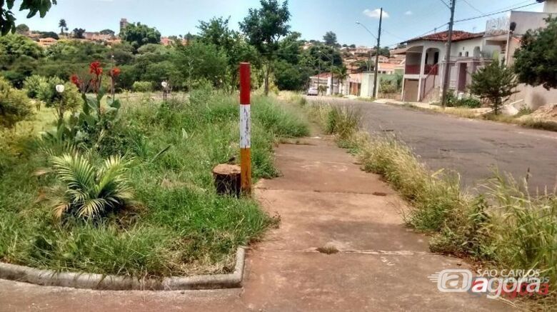 Foto: Divulgação - 