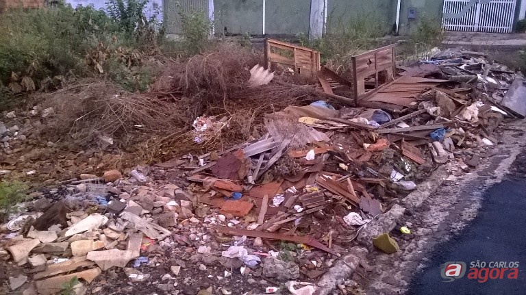 Foto: Divulgação -