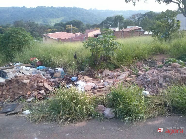 Foto: Divulgação -