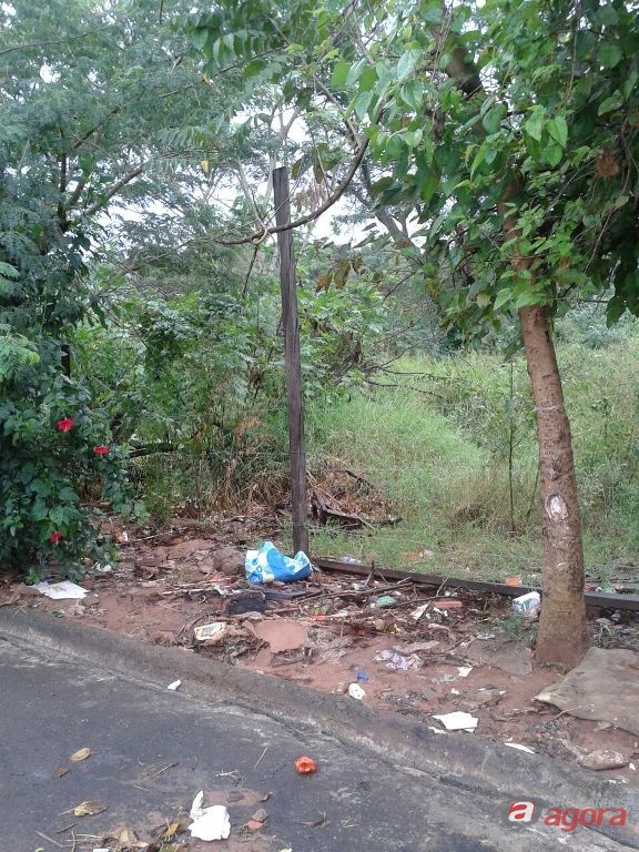 Foto: Divulgação -