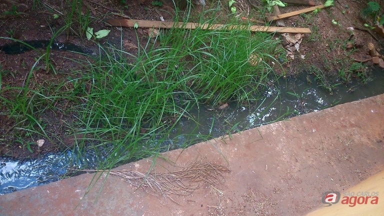 Foto: Divulgação -