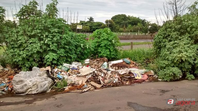 Foto: Divulgação -