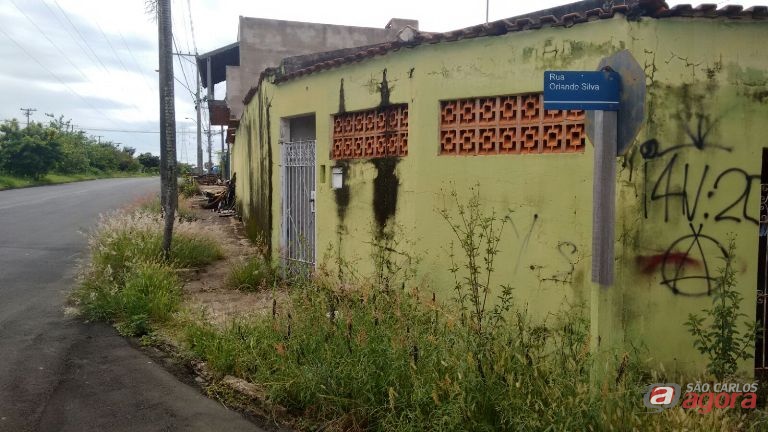Foto: Divulgação -