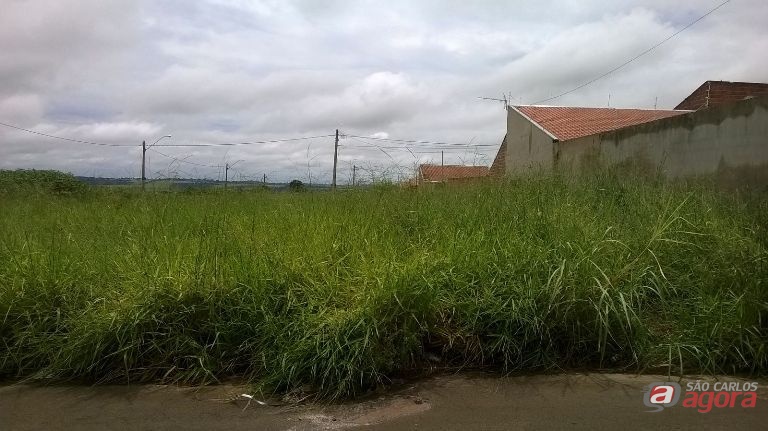 Foto: Divulgação -