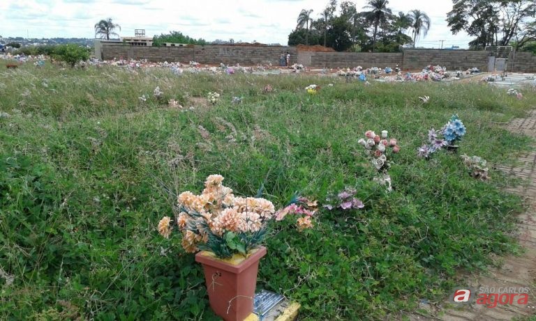 Julio Cesar cobra manutenção do Cemitério Municipal. Foto: assessoria do vereador -