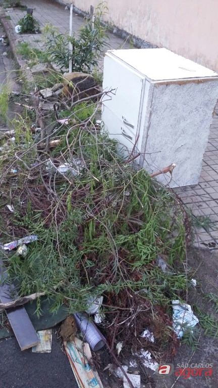 Foto: Divulgação -