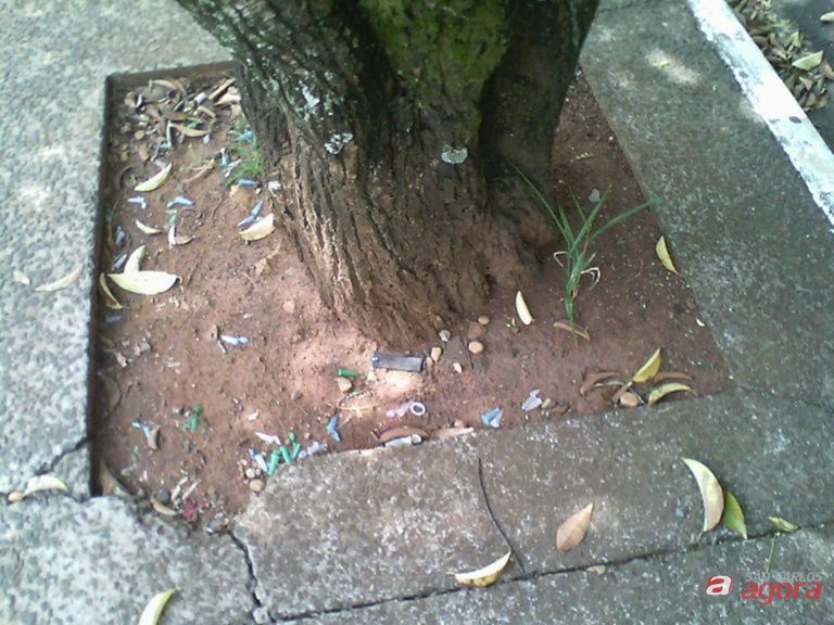 Foto: Divulgação -