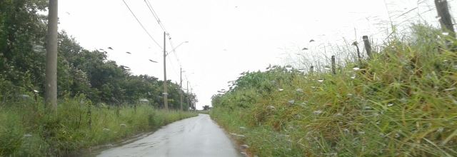 Foto: Divulgação -