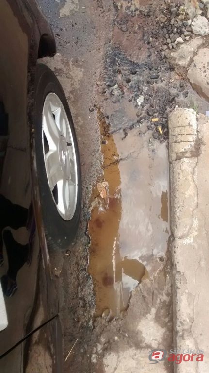 Foto: Divulgação -
