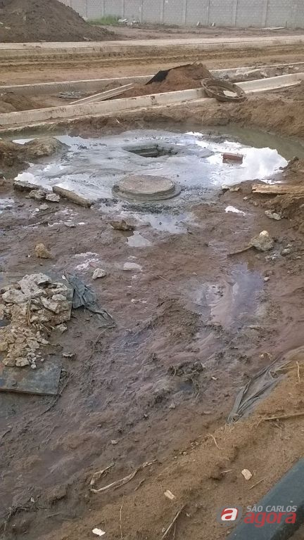 Foto: Divulgação -