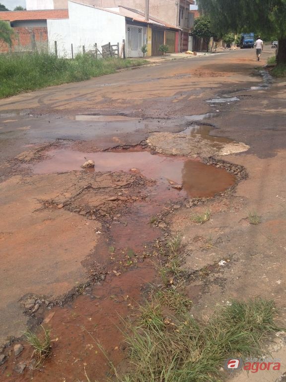 Foto: Divulgação -