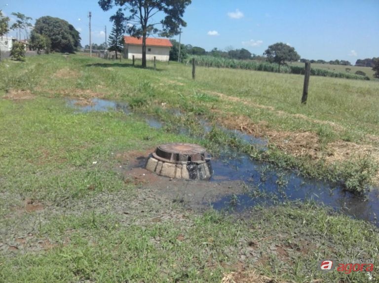 Foto: Divulgação -