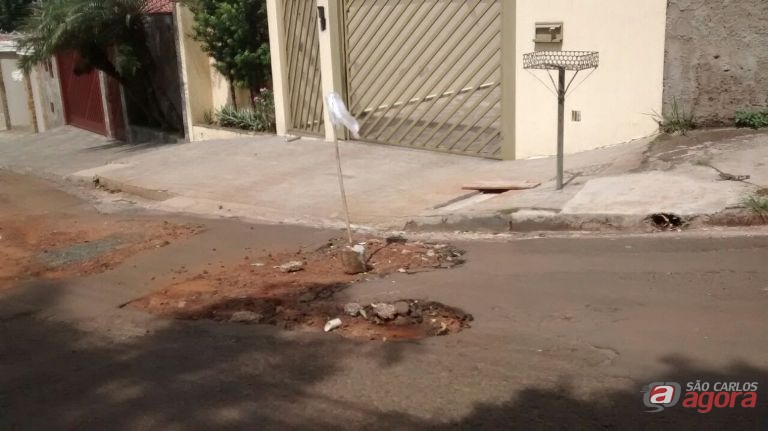 Foto: Divulgação -