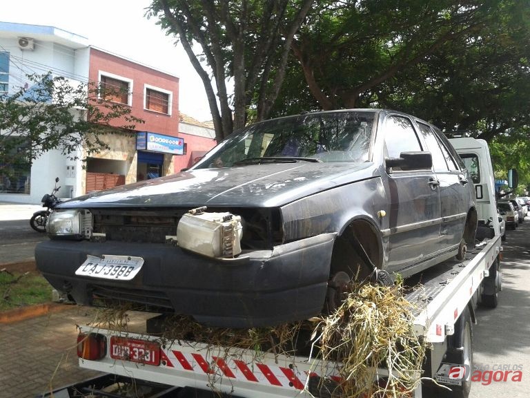 Foto: Maycon Maximino -