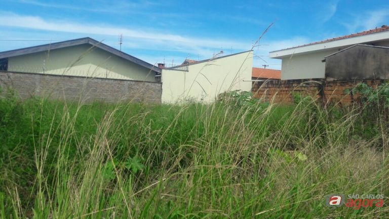 Foto: Divulgação -