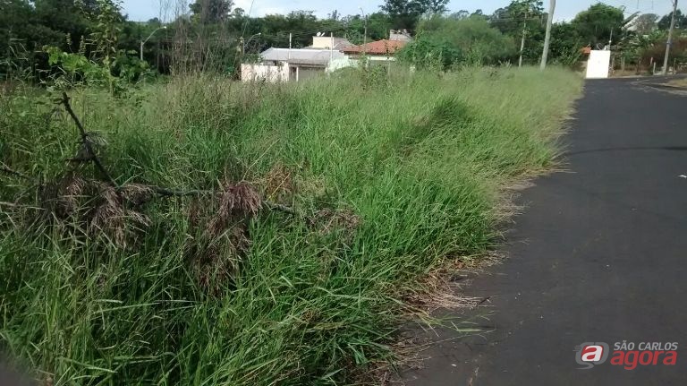 Foto: Divulgação -